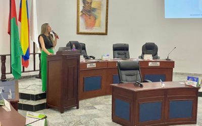 Asistencia técnica a la Asamblea Departamental de Arauca en la ley 1454 de 2011 y conformación y funcionamiento de las comisiones regionales de ordenamiento territorial (CROT).