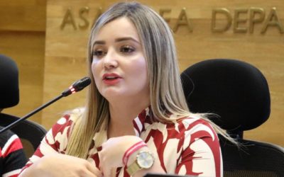 Componente del ordenamiento territorial en la ley 2200, nuevo régimen departamental .