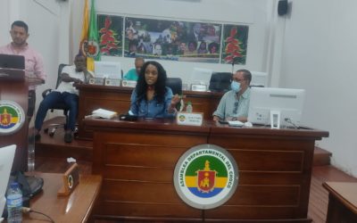 Asistencia Técnica, Ley 2200 de 2022 Régimen Departamental, Chocó.