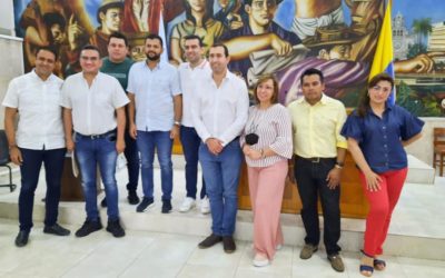 Comisiones Regionales de Ordenamiento establecidas en la ley 1454 de 2011.