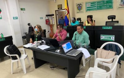 Asistencia a la Asamblea del Departamento de Caquetá en la conformacion y Funcionamiento y Reglamento de la Comisión regional de Ordenamiento Territorial.