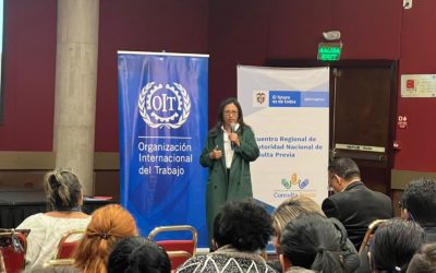 Cuarto Encuentro: Experiencias en el desarrollo de la consulta previa