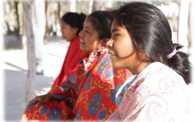 La Consulta Previa: el diálogo social, la igualdad y los derechos humanos de las comunidades étnicas.