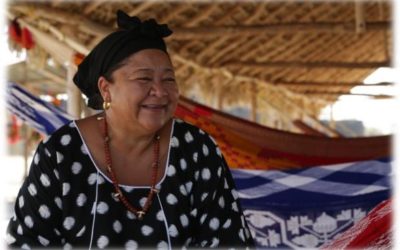 DANCP mejora el tiempo promedio para expedir actos administrativos con o sin visita