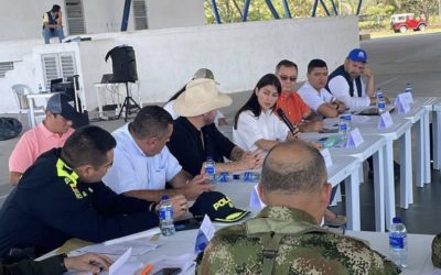 MinInterior lidera sesión Plan de Acción Integral de Respuesta Rápida en Cubaral-Meta