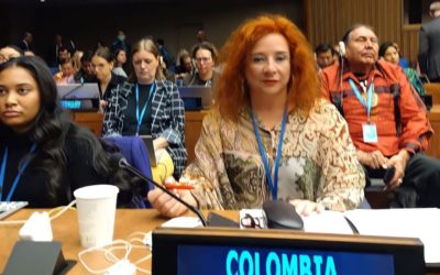 Ministerio del Interior participó en Foro Permanente para las Cuestiones Indígenas de la ONU
