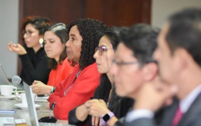 Primera sesión ordinaria del Consejo Nacional de Participación Ciudadana