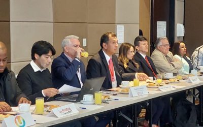 Director para la Democracia del Ministerio del Interior Lidera Mesa Multipartidista en alianza con NDI Colombia para elecciones territoriales 2023