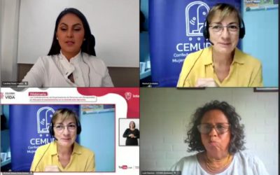 MinInterior realizó el Webinario Las Confederaciones de Organizaciones de Personas con Discapacidad, un reto para el asociativo en la reivindicación de derechos