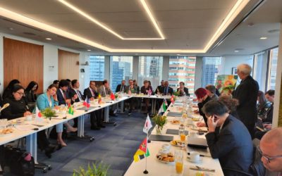 Ministro del Interior, Juan Fernando Cristo, presentó a los embajadores del Consejo de Seguridad de la ONU el Plan de Choque para Acelerar la Implementación del Acuerdo de Paz