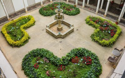 Declaración de los voceros del Gobierno nacional ante la propuesta humanitaria de las comunidades del Catatumbo