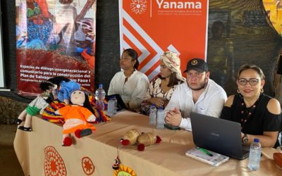 El Ministerio del Interior advierte que los planes de salvaguarda, planes de vida y estudios etnológicos no genera costos para las comunidades indígenas