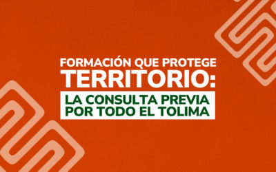 FORMACIÓN QUE PROTEGE TERRITORIO: LA CONSULTA PREVIA POR TODO EL TOLIMA